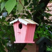 workshop vogelhuisje pimpen